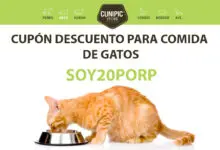 Cupon descuento cunipic en comida de gatos