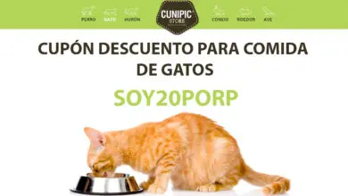 Cupon descuento cunipic en comida de gatos