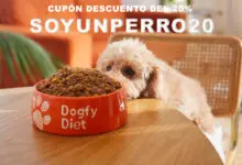 descuento promocional para dogfy diet