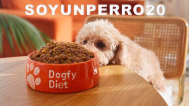 descuento promocional para dogfy diet