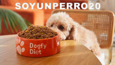 descuento promocional para dogfy diet